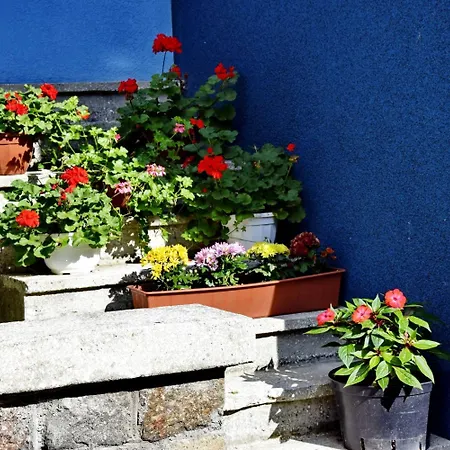 Asesor Gasthuis Gdańsk